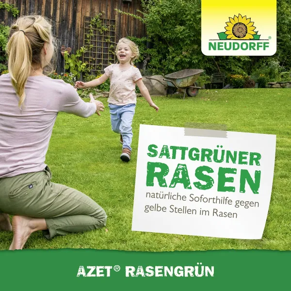 NEUDORFF® Azet® Rasengrün 250 ml für 10 m²