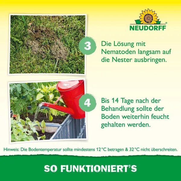 NEUDORFF® Bestell-Karte Nützlinge gegen Ameisen - 5 Mio. SF-Nematoden