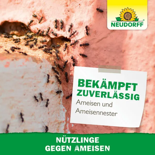 NEUDORFF® Bestell-Karte Nützlinge gegen Ameisen - 5 Mio. SF-Nematoden