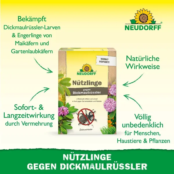 NEUDORFF® Bestell-Karte Nützlinge gegen Dickmaulrüssler - 10 Mio. HM-Nematoden
