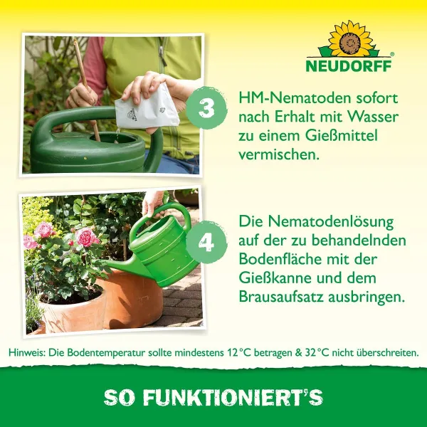 NEUDORFF® Bestell-Karte Nützlinge gegen Dickmaulrüssler - 50 Mio. HM-Nematoden