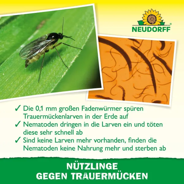 NEUDORFF® Bestell-Karte Nützlinge gegen Trauermücken - 5 Mio. SF-Nematoden