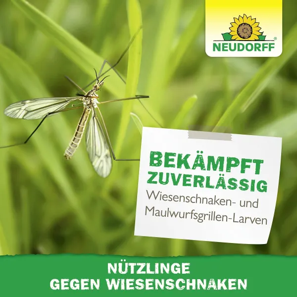 NEUDORFF® Bestell-Karte Nützlinge gegen Wiesenschnaken - 10 Mio. SC-Nematoden