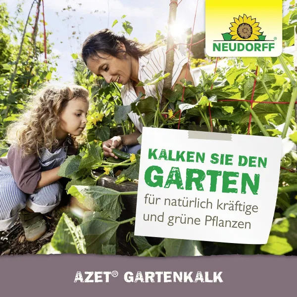 NEUDORFF® BIO Azet® Garten Kalk für ca. 50 m² - 2,5 kg