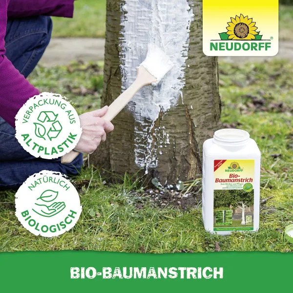 NEUDORFF® Bio-Baumanstrich - 2 Liter x 3