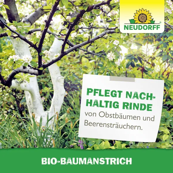 NEUDORFF® Bio-Baumanstrich - 2 Liter x 6