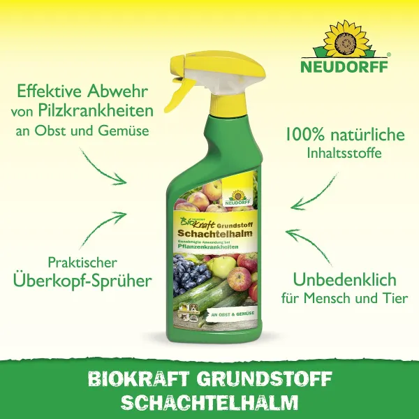 NEUDORFF® BioKraft® Grundstoff Schachtelhalm für Obst & Gemüse - 500 ml
