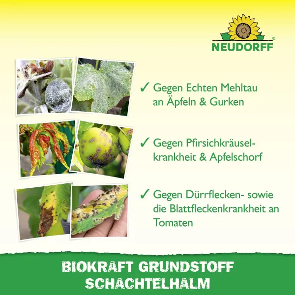 NEUDORFF® BioKraft® Grundstoff Schachtelhalm für Obst & Gemüse - 500 ml