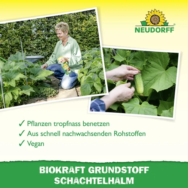NEUDORFF® BioKraft® Grundstoff Schachtelhalm für Obst & Gemüse - 500 ml