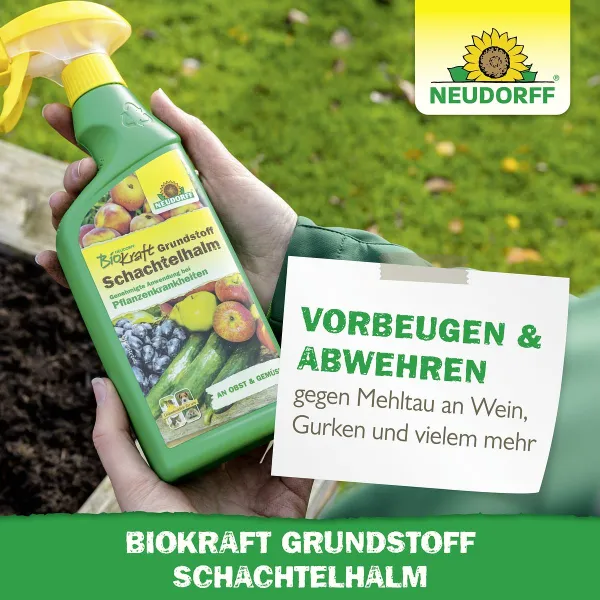 NEUDORFF® BioKraft® Grundstoff Schachtelhalm für Obst & Gemüse - 500 ml