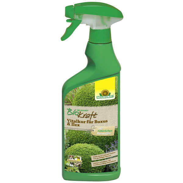 NEUDORFF® BioKraft Vitalkur Buxus Ilex AF anwendungsfertig - 500 ml