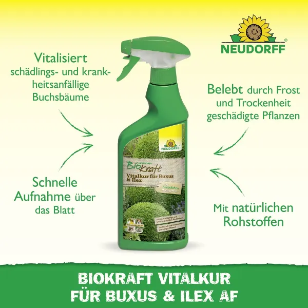 NEUDORFF® BioKraft Vitalkur Buxus Ilex AF anwendungsfertig - 500 ml