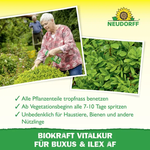NEUDORFF® BioKraft Vitalkur Buxus Ilex AF anwendungsfertig - 500 ml