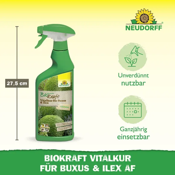 NEUDORFF® BioKraft Vitalkur Buxus Ilex AF anwendungsfertig - 500 ml