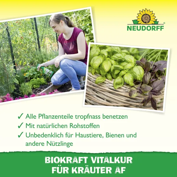 NEUDORFF® BioKraft® Vitalkur für Kräuter AF anwendungsfertig - 500 ml