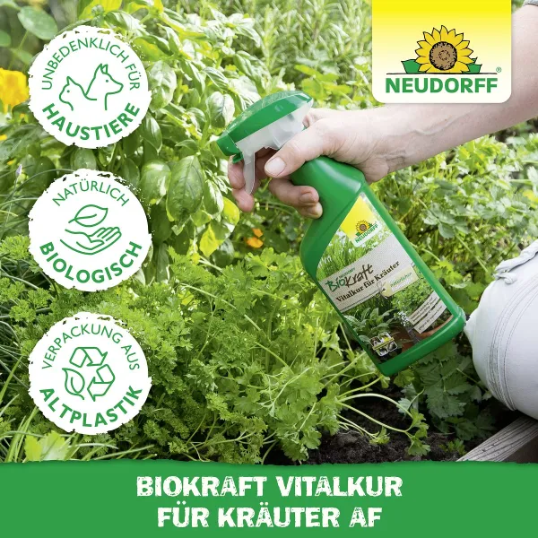 NEUDORFF® BioKraft® Vitalkur für Kräuter AF anwendungsfertig - 500 ml