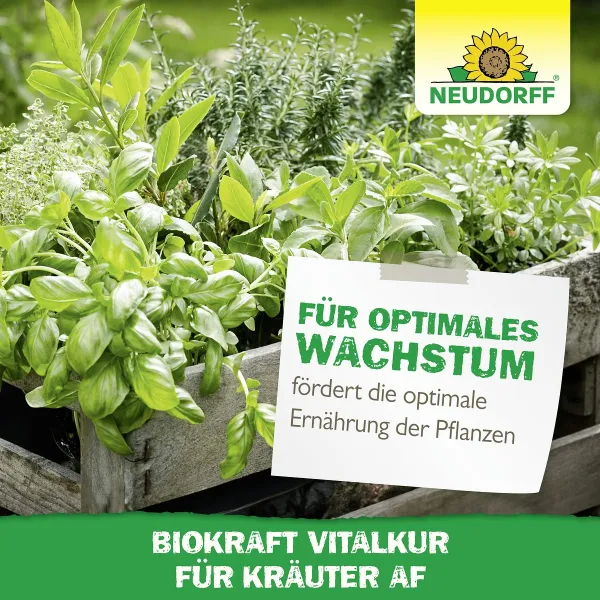 NEUDORFF® BioKraft® Vitalkur für Kräuter AF anwendungsfertig - 500 ml