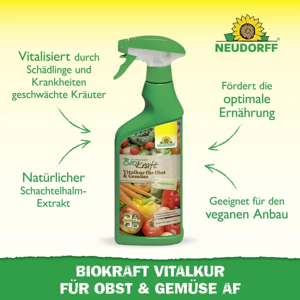 NEUDORFF® BioKraft® Vitalkur für Obst Gemüse AF anwendungsfertig - 500 ml