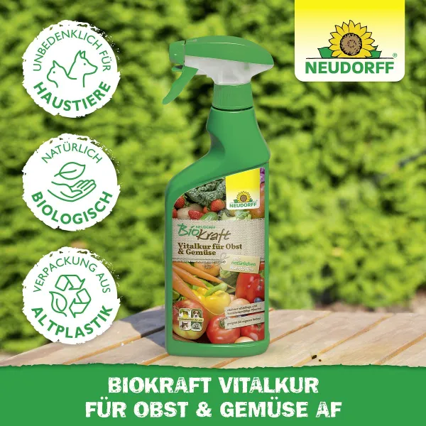 NEUDORFF® BioKraft® Vitalkur für Obst Gemüse AF anwendungsfertig - 500 ml