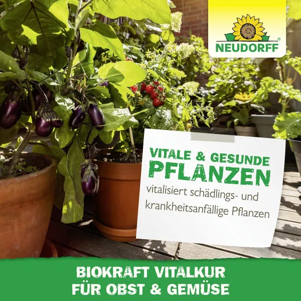 NEUDORFF® BioKraft Vitalkur für Obst und Gemüse - 300 ml