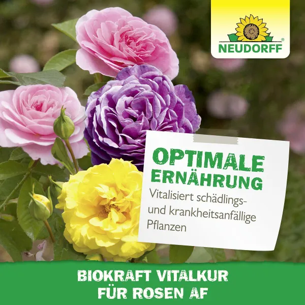 NEUDORFF® BioKraft® Vitalkur für Rosen Konzentrat - 300 ml
