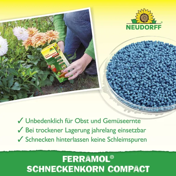 NEUDORFF® Ferramol® Schneckenkorn compact Extrem regenfest - 700 g