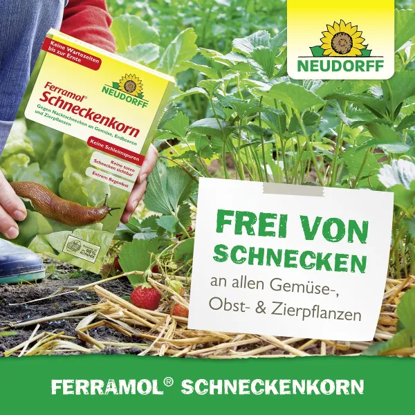NEUDORFF® Ferramol® Schneckenkorn Extrem regenfest - 200 g