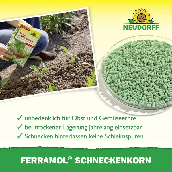 NEUDORFF® Ferramol® Schneckenkorn Extrem regenfest - 500 g
