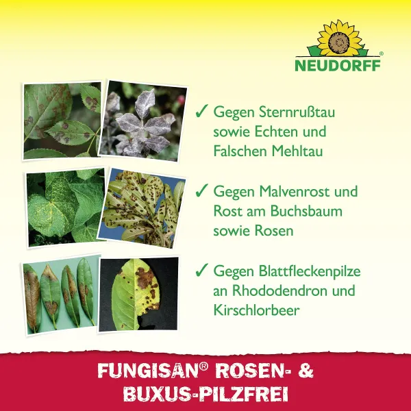 NEUDORFF® Fungisan® Rosen- und Buxus-Pilzfrei AF anwendungsfertig - 1 Liter