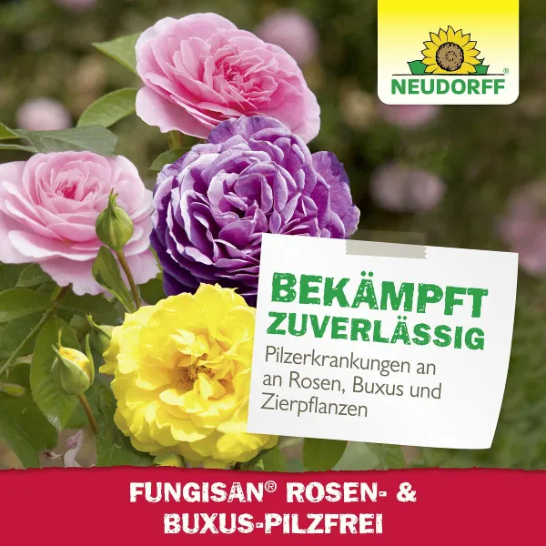 NEUDORFF® Fungisan® Rosen- und Buxus-Pilzfrei AF anwendungsfertig - 1 Liter