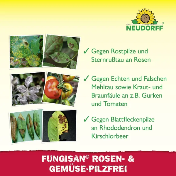 NEUDORFF® Fungisan® Rosen- und Gemüse-Pilzfrei für 20 Liter Spritzbrühe - 16 ml
