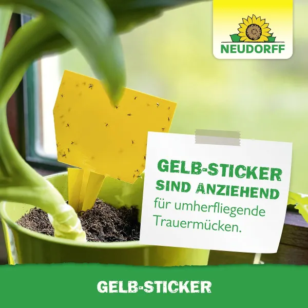 NEUDORFF® Gelb-Sticker zur Bekämpfung fliegender Schädlinge - 10 Sticker x 3