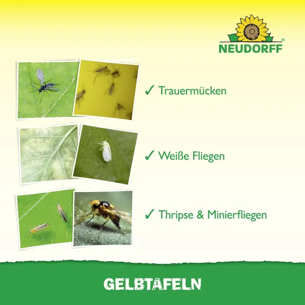 NEUDORFF® Gelbtafeln Großformat 25 x 32 cm - 5 Tafeln
