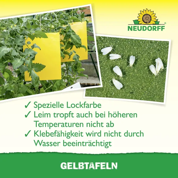 NEUDORFF® Gelbtafeln Großformat 25 x 32 cm - 5 Tafeln