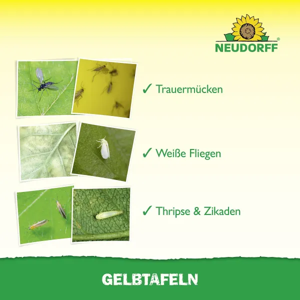 NEUDORFF® Gelbtafeln Kleinformat 7,5 x 20 cm - 21 Tafeln x 6