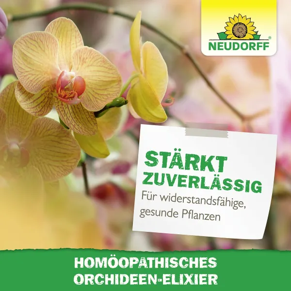 NEUDORFF® Homöopathisches Orchideen-Elixier anwendungsfertig - 500 ml