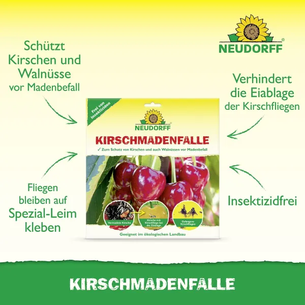 NEUDORFF® Kirschmadenfallen - 7 Fallen