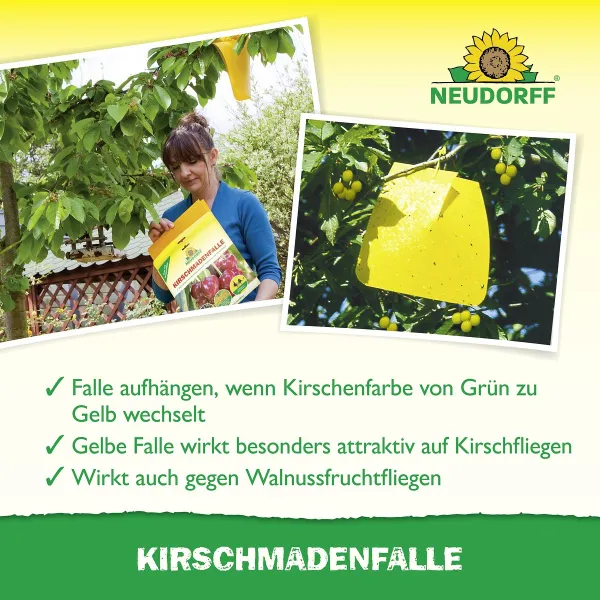 NEUDORFF® Kirschmadenfallen - 7 Fallen