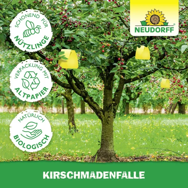 NEUDORFF® Kirschmadenfallen - 7 Fallen