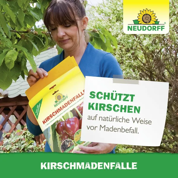 NEUDORFF® Kirschmadenfallen - 7 Fallen