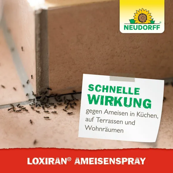 NEUDORFF® Loxiran® AmeisenSpray - 400 ml