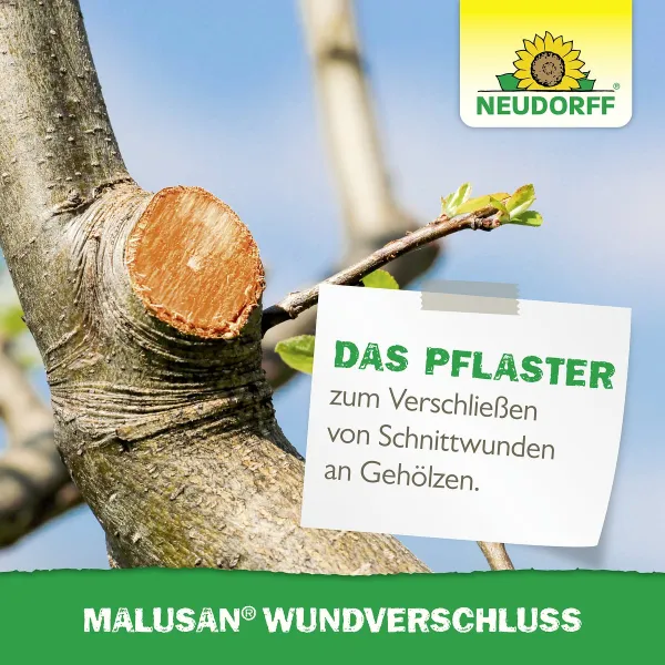 NEUDORFF® Malusan® Wundverschluss Pinseltube - 125 ml