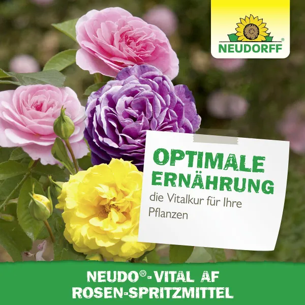 NEUDORFF® Neudo®-Vital AF Rosen-Spritzmittel anwendungsfertig - 500 ml
