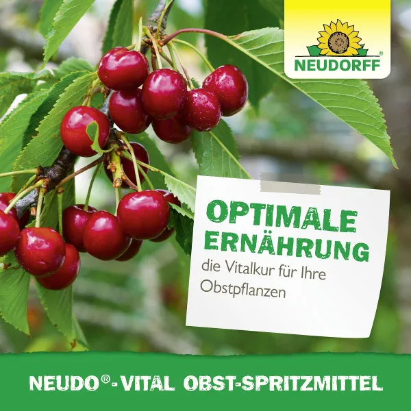 NEUDORFF® Neudo®-Vital Obst-Spritzmittel 250 ml x 2