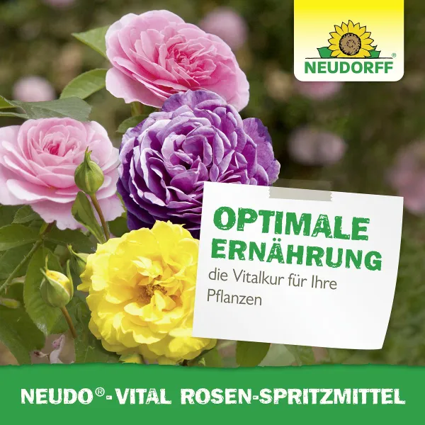 NEUDORFF® Neudo®-Vital Rosen-Spritzmittel Blattdünger - 250 ml