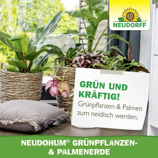 NEUDORFF® NeudoHum® Grünpflanzen- & Palmenerde torffrei - 3 Liter