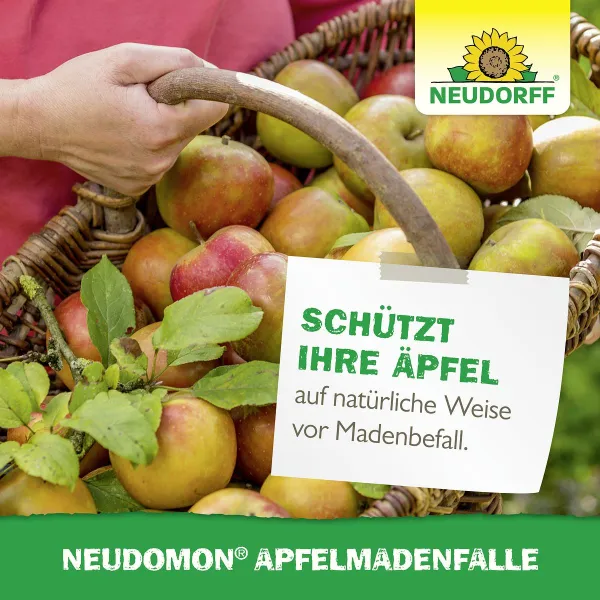 NEUDORFF® Neudomon® ApfelmadenFalle - 1 Set