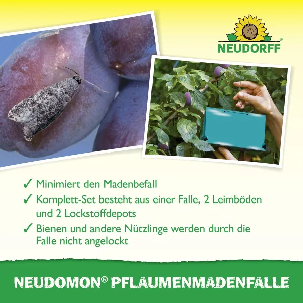 NEUDORFF® Neudomon® PflaumenmadenFalle -- Komplett-Set