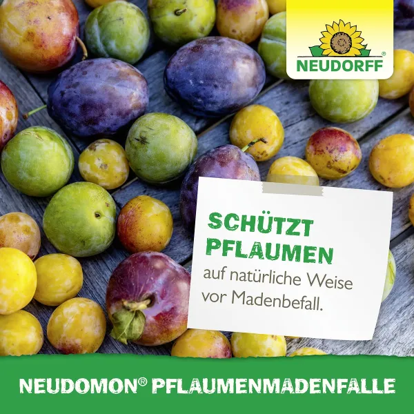 NEUDORFF® Neudomon® PflaumenmadenFalle -- Komplett-Set