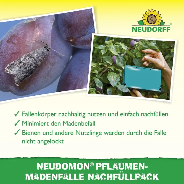 NEUDORFF® Neudomon® PflaumenmadenFalle Nachfüllpack - 1 Set
